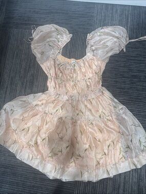 Saison Blanche Pale Pink Floral Mini Dress